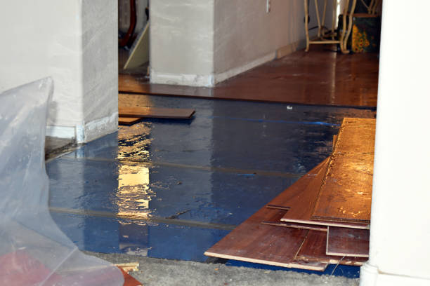 Professional Burst Pipe Cleanup technician working in Casar, NC